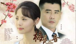 梅花香电视剧,乱世佳人，风华绝代